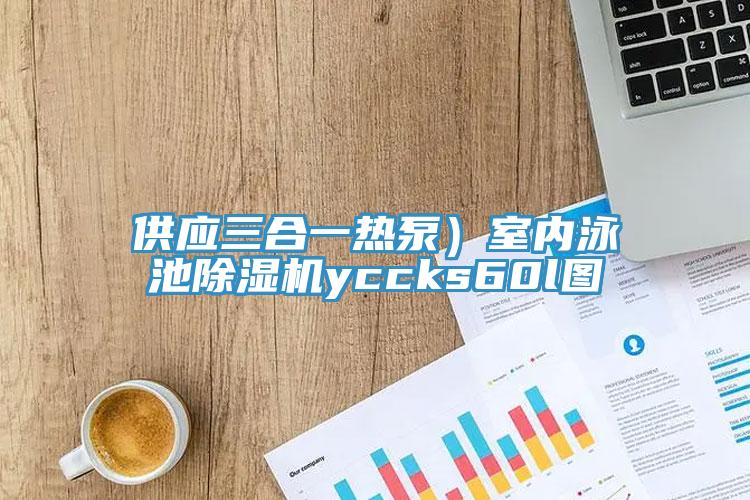 供應三合一熱泵）室內泳池91看片软件大全yccks60l圖