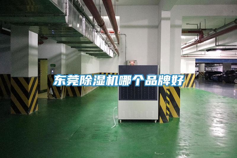 東莞91看片软件大全哪個品牌好