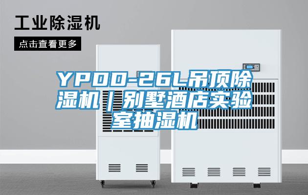 YPDD-26L吊頂91看片软件大全｜別墅酒店實驗室抽濕機