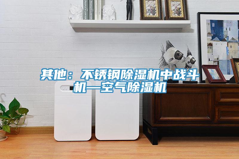 其他：不鏽鋼91看片软件大全中戰鬥機—空氣91看片软件大全