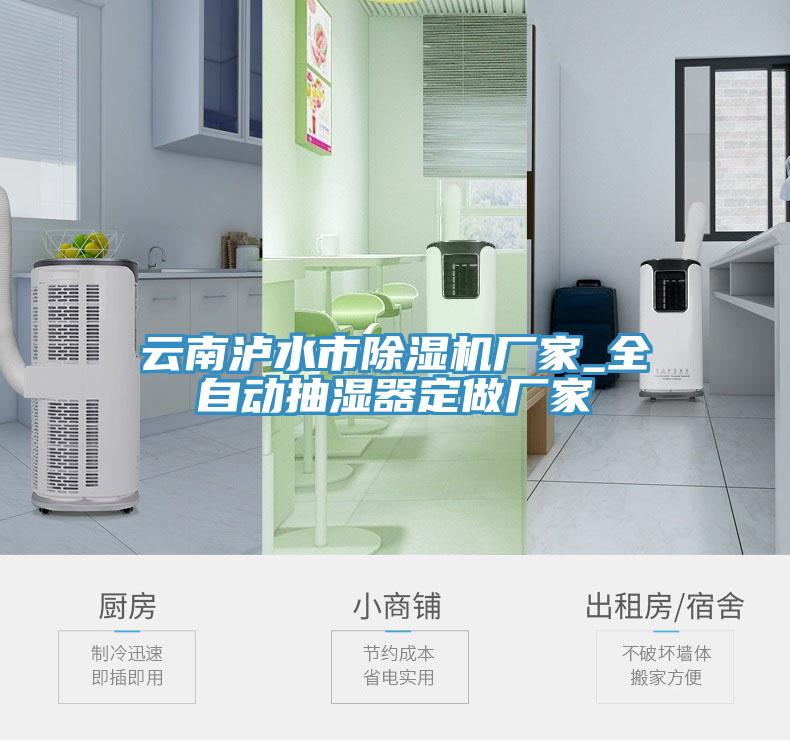 雲南瀘水市91看片软件大全廠家_全自動抽濕器定做廠家