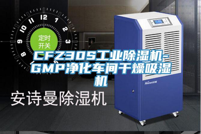 CFZ30S工業91看片软件大全-GMP淨化車間幹燥吸濕機