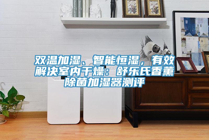 雙溫加濕、智能恒濕，有效解決室內幹燥：舒樂氏香薰除菌加濕器測評