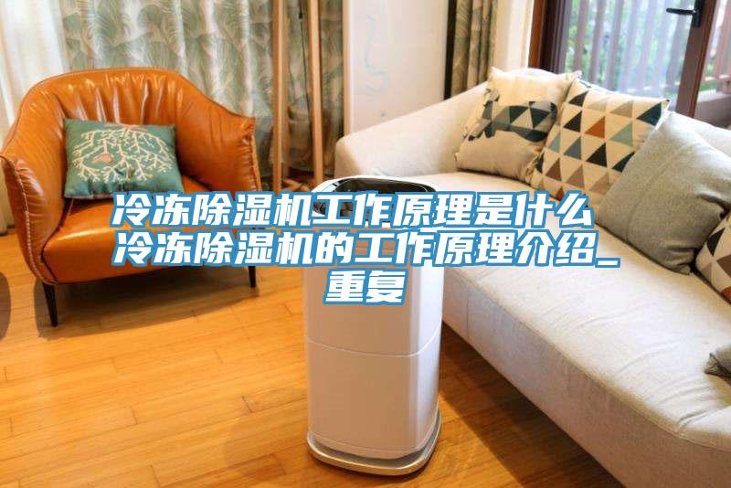 冷凍91看片软件大全工作原理是什麽 冷凍91看片软件大全的工作原理介紹_重複
