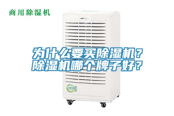 為什麽要買91看片软件大全？91看片软件大全哪個牌子好？