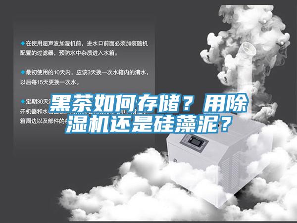 黑茶如何存儲？用91看片软件大全還是矽藻泥？