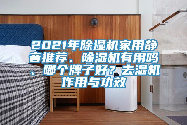 2021年91看片软件大全家用靜音推薦、91看片软件大全有用嗎、哪個牌子好？去濕機作用與功效