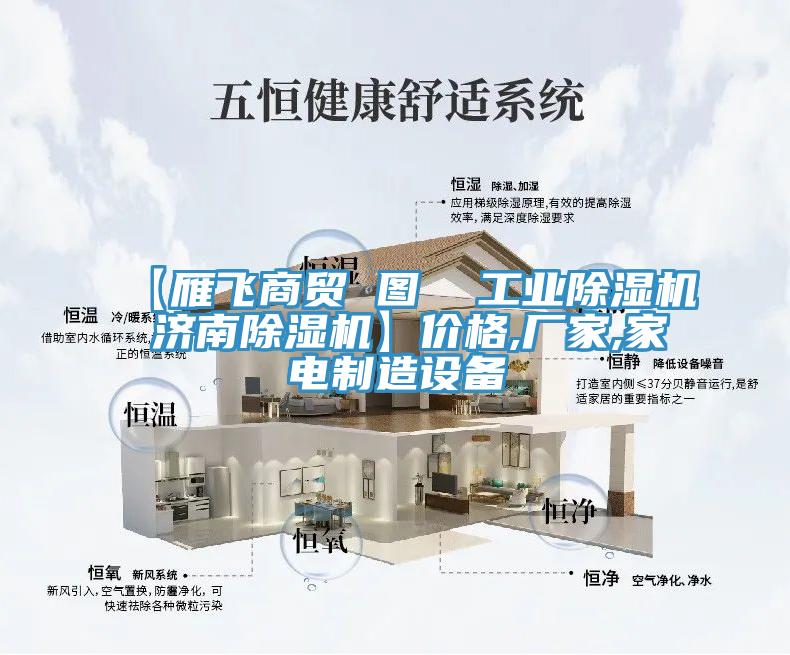 【雁飛商貿 圖  工業91看片软件大全 濟南91看片软件大全】價格,廠家,家電製造設備