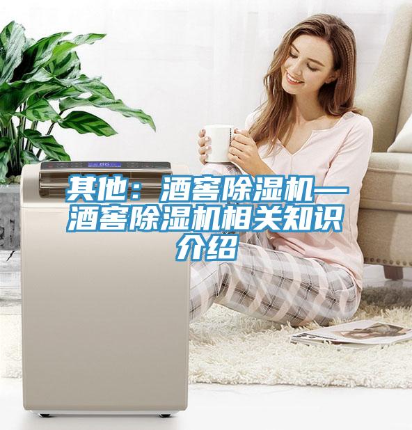其他：酒窖91看片软件大全—酒窖91看片软件大全相關知識介紹