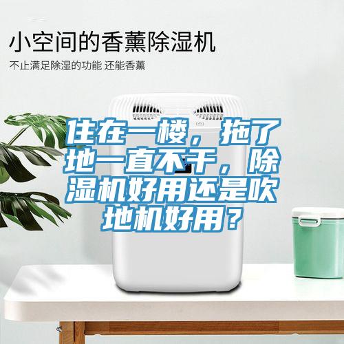 住在一樓，拖了地一直不幹，91看片软件大全好用還是吹地機好用？