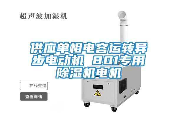 供應單相電容運轉異步電動機 801專用91看片软件大全電機