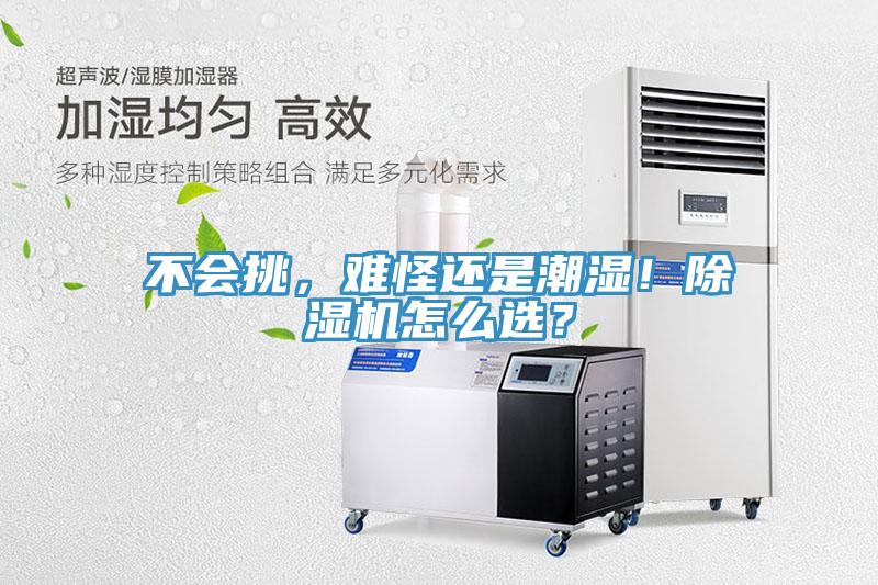 不會挑，難怪還是潮濕！91看片软件大全怎麽選？
