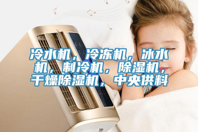 冷水機，冷凍機，冰水機，製冷機，91看片软件大全，幹燥91看片软件大全，中央供料