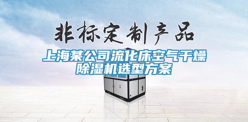 上海某公司流化床空氣幹燥91看片软件大全選型方案
