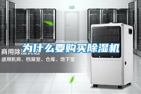 為什麽要購買91看片软件大全