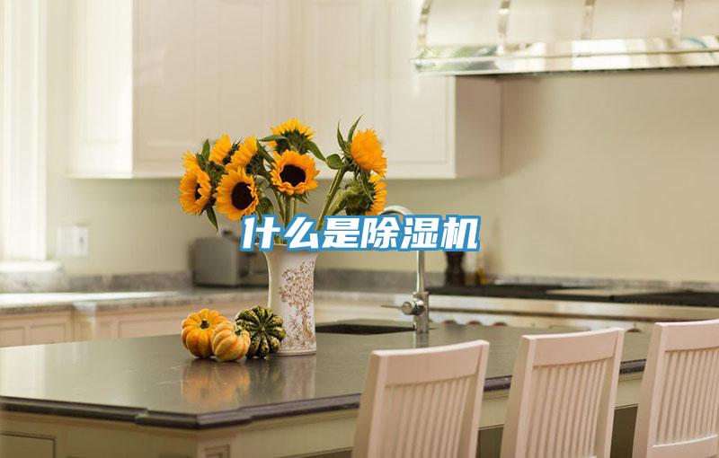 什麽是91看片软件大全