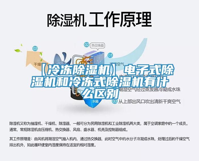 【冷凍91看片软件大全】電子式91看片软件大全和冷凍式91看片软件大全有什麽區別