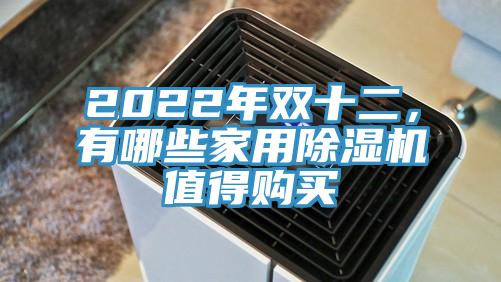 2022年雙十二，有哪些家用91看片软件大全值得購買
