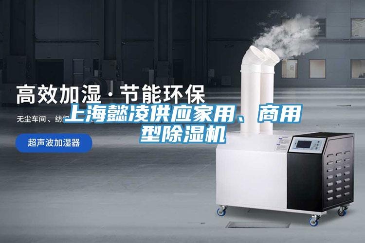 上海懿淩供應家用、商用型91看片软件大全