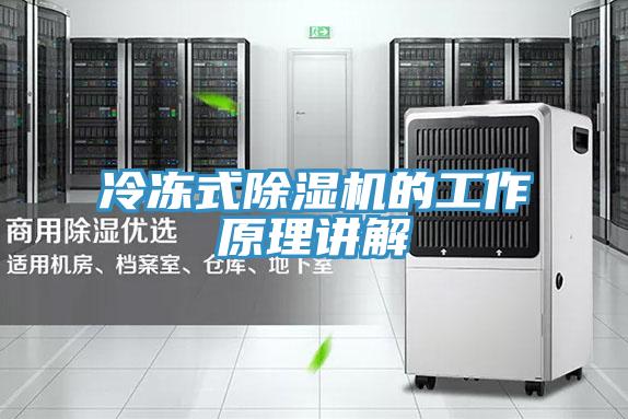 冷凍式91看片软件大全的工作原理講解