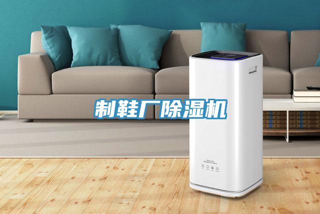 製鞋廠91看片软件大全