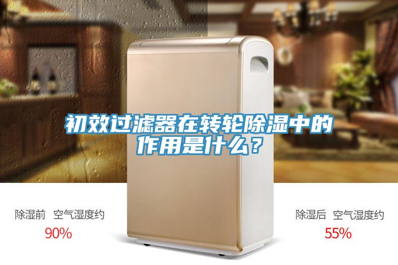 初效過濾器在轉輪除濕中的作用是什麽？