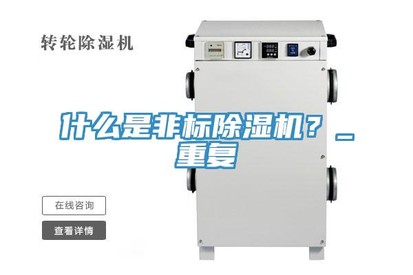什麽是非標91看片软件大全？_重複