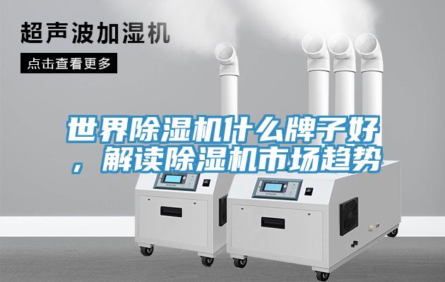 世界91看片软件大全什麽牌子好，解讀91看片软件大全市場趨勢