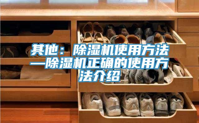其他：91看片软件大全使用方法—91看片软件大全正確的使用方法介紹