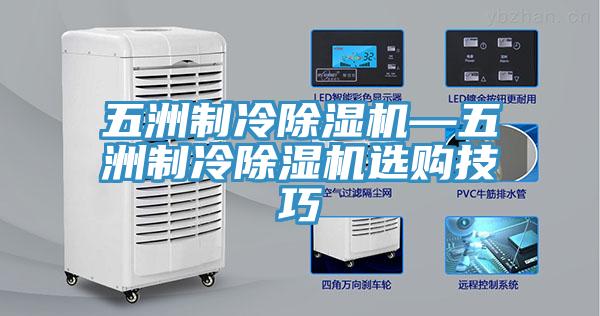 五洲製冷91看片软件大全—五洲製冷91看片软件大全選購技巧
