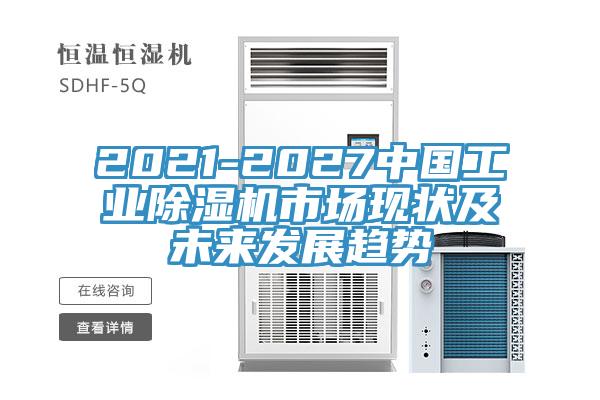 2021-2027中國工業91看片软件大全市場現狀及未來發展趨勢
