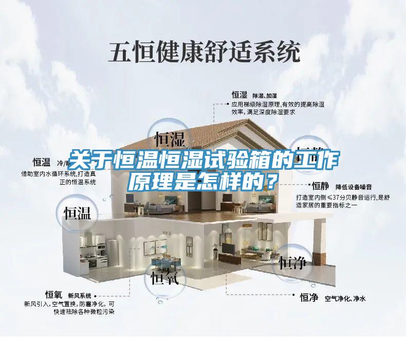 關於恒溫恒濕試驗箱的工作原理是怎樣的？