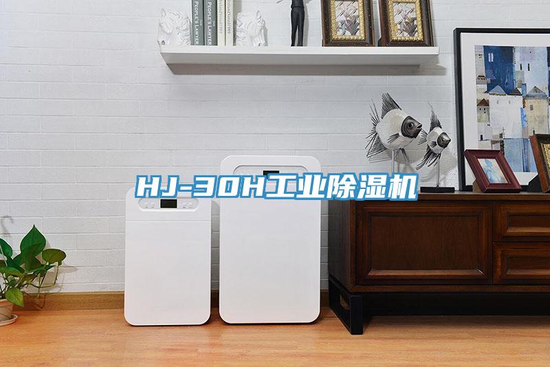 HJ-30H工業91看片软件大全