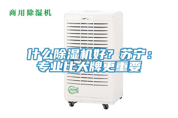 什麽91看片软件大全好？蘇寧：專業比大牌更重要