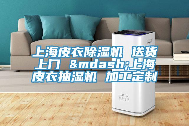 上海皮衣91看片软件大全 送貨上門 —上海皮衣抽濕機 加工定製