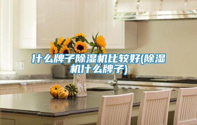 什麽牌子91看片软件大全比較好(91看片软件大全什麽牌子)