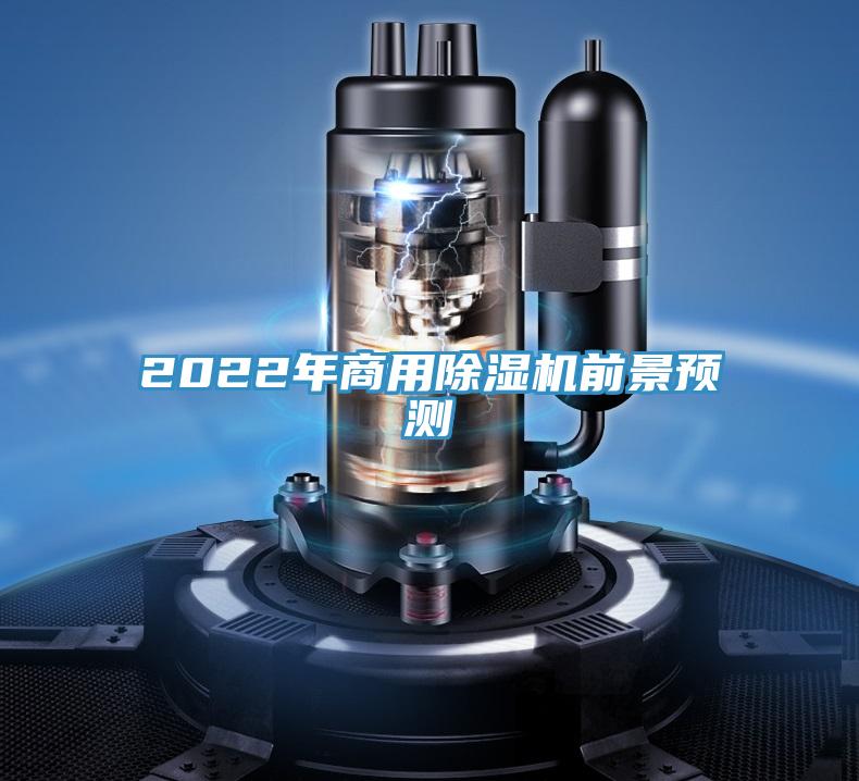 2022年商用91看片软件大全前景預測