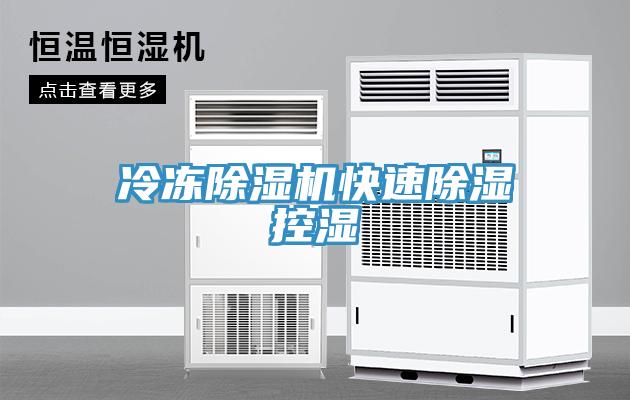 冷凍91看片软件大全快速除濕控濕