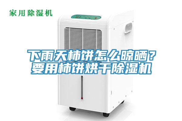 下雨天柿餅怎麽晾曬？要用柿餅烘幹91看片软件大全