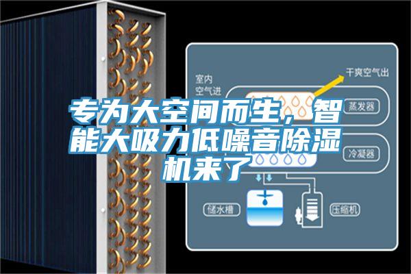 專為大空間而生，智能大吸力低噪音91看片软件大全來了