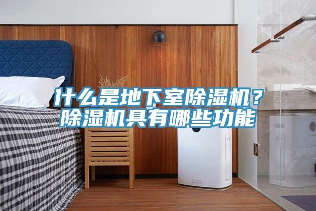什麽是地下室91看片软件大全？91看片软件大全具有哪些功能