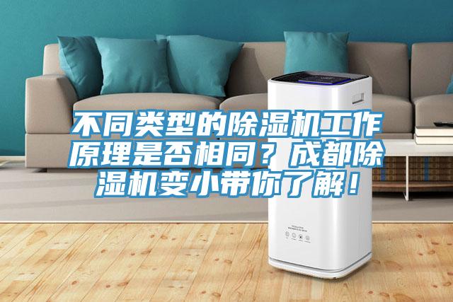 不同類型的91看片软件大全工作原理是否相同？成都91看片软件大全變小帶你了解！