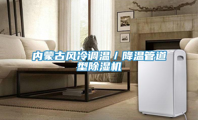 內蒙古風冷調溫／降溫管道型91看片软件大全