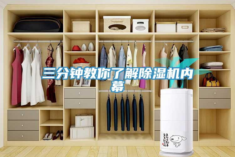 三分鍾教你了解91看片软件大全內幕