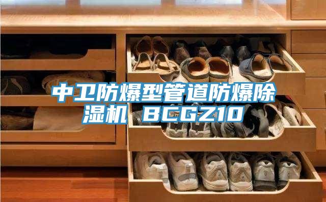 中衛防爆型管道防爆91看片软件大全 BCGZ10
