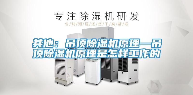其他：吊頂91看片软件大全原理—吊頂91看片软件大全原理是怎樣工作的