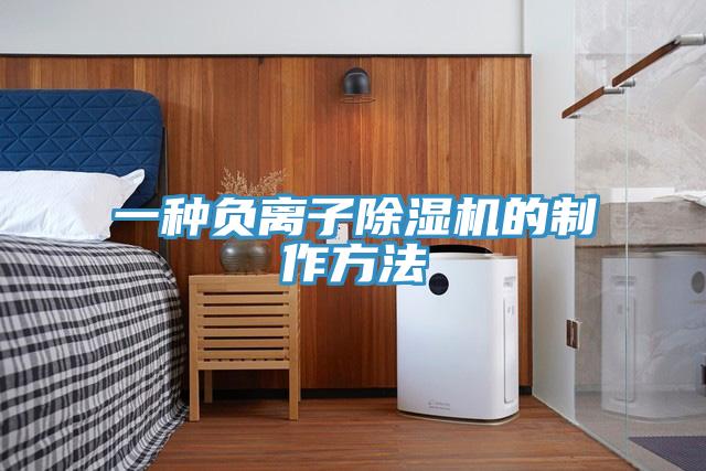 一種負離子91看片软件大全的製作方法