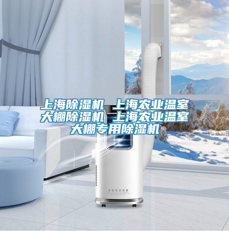 上海91看片软件大全 上海農業溫室大棚91看片软件大全 上海農業溫室大棚專用91看片软件大全