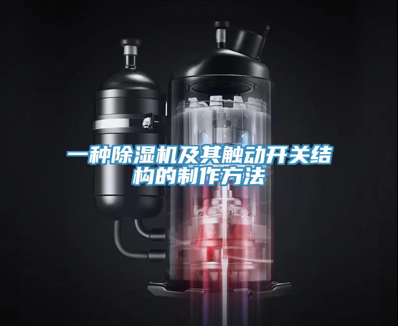 一種91看片软件大全及其觸動開關結構的製作方法