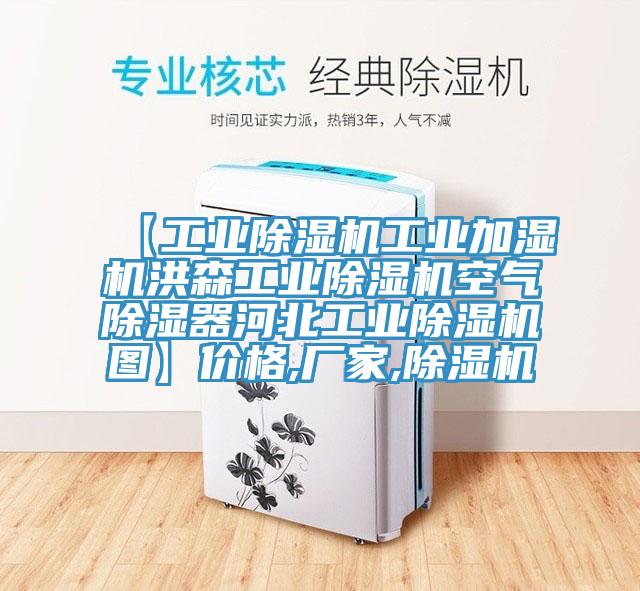 【工業91看片软件大全工業加濕機洪森工業91看片软件大全空氣除濕器河北工業91看片软件大全圖】價格,廠家,91看片软件大全